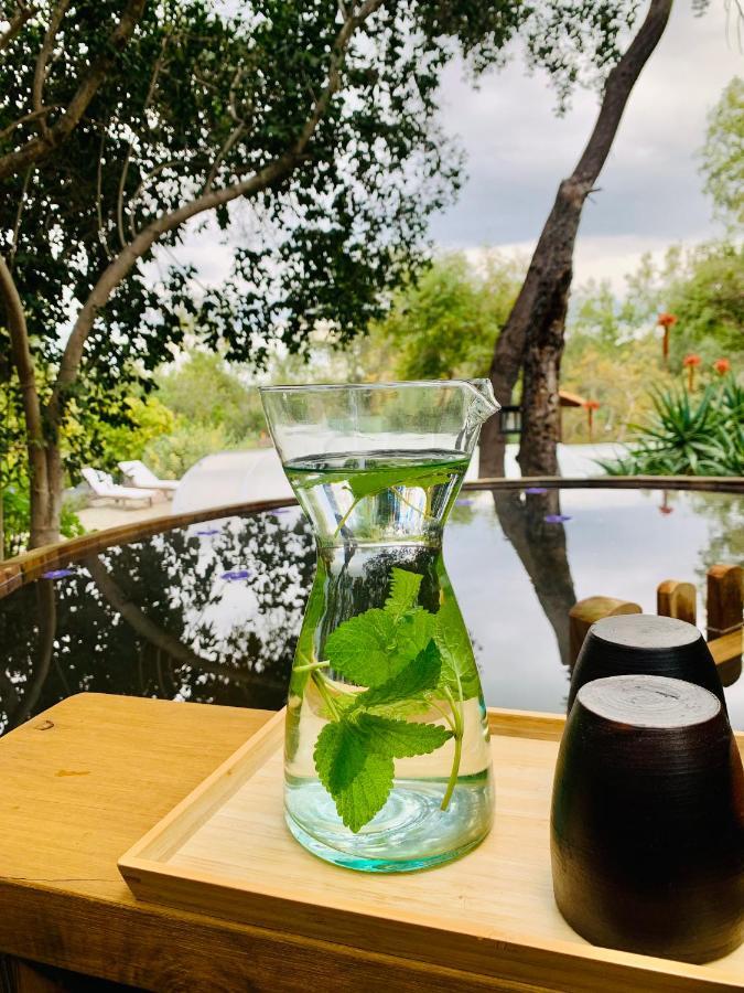 Kuralemu Casa De Campo Curacavi Luaran gambar
